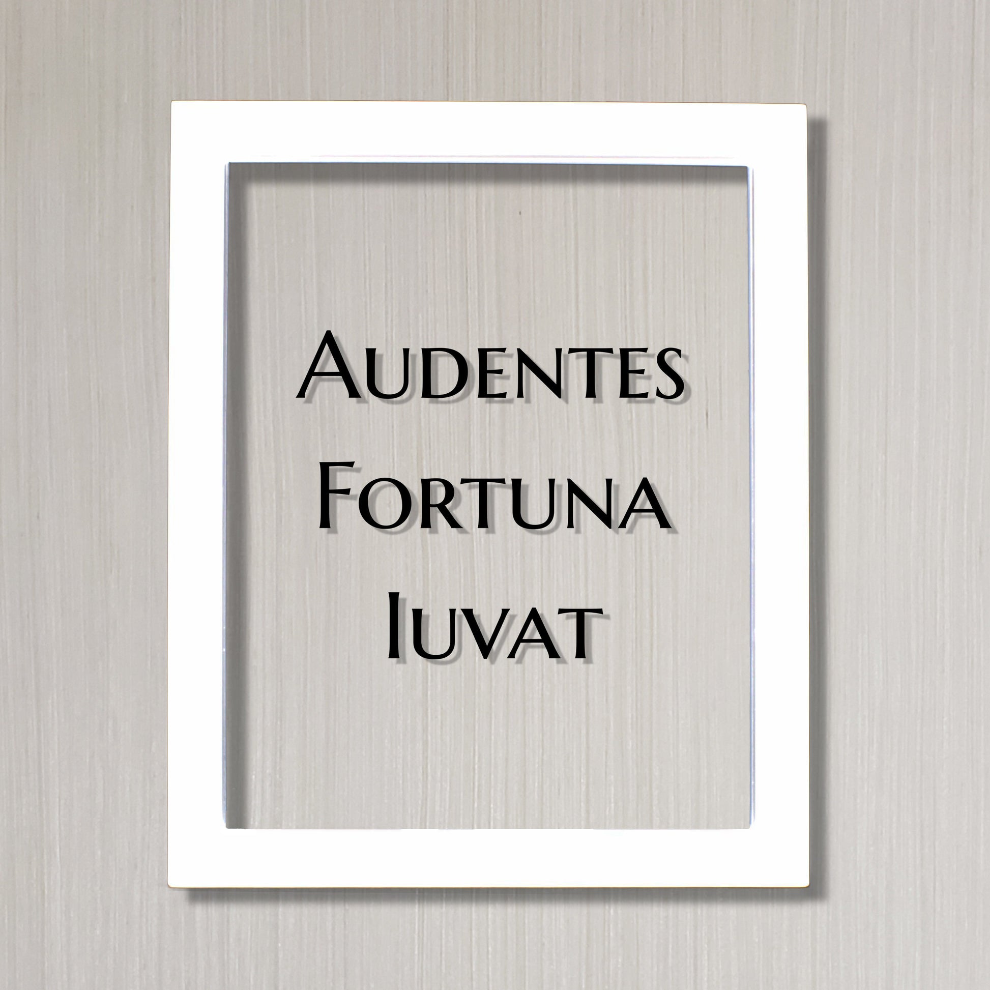 Audentes Fortuna Iuvat - Floating Quote - Latin Proverb - Fortune favors the bold - favors the daring - Courage Fearless Adventure Heroic