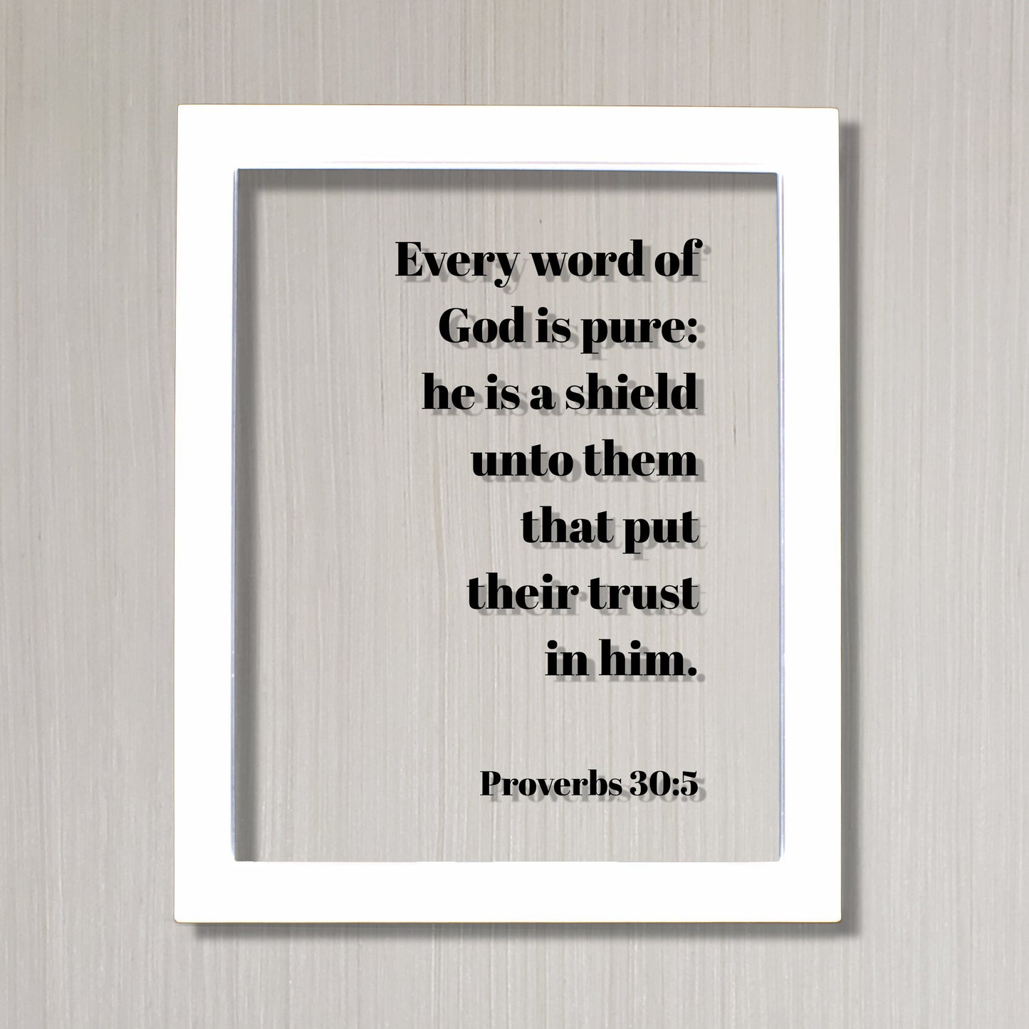 Proverbs 30:5 - Every word of God is pure he is a shield unto them trust in him - Floating Quote Scripture Frame Bible Verse Christian Decor